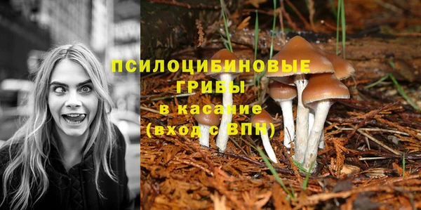 твердый Зеленокумск