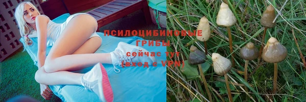 стафф Зеленодольск